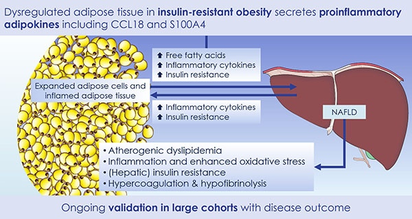 Identification of adipokines related to insulin resistance